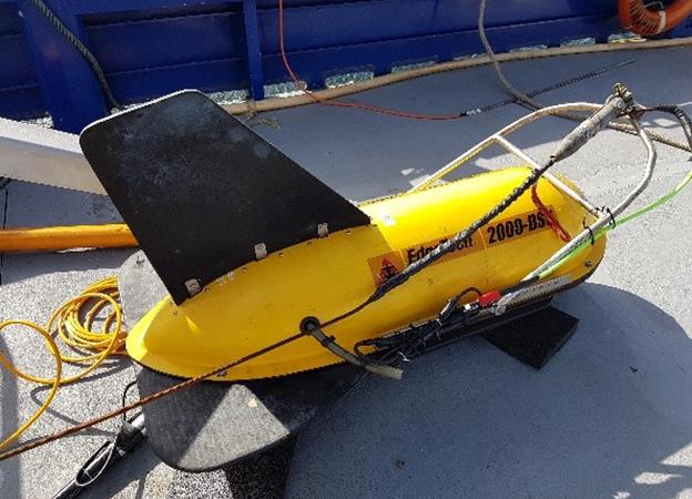 Carnegie surveys Oz wave scene Developer starts geophysical campaign for 1.5MW Albany project