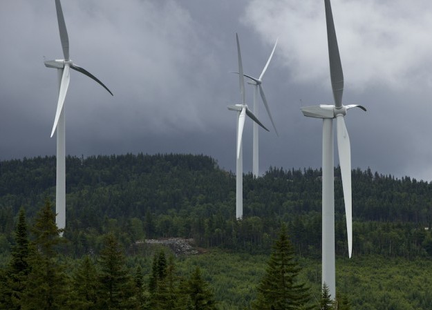 EDF JV targets Alerion