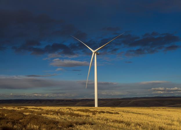 PGE makes 100MW green call