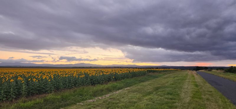 RES bags key permit for 436.5MW Oz project