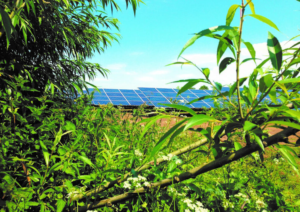 Enso reveals 160MW Anglesey solar play Enso reveals 160MW Anglesey solar play