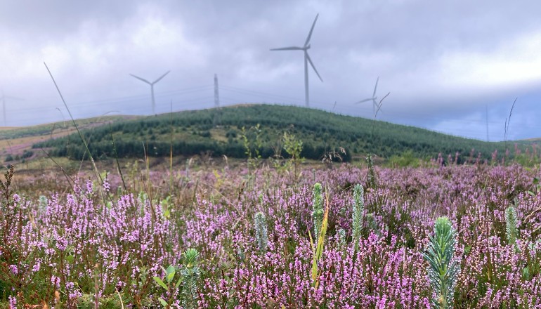 Siemens Gamesa gets Clyde wind farm contract extension Siemens Gamesa gets Clyde wind farm contract extension