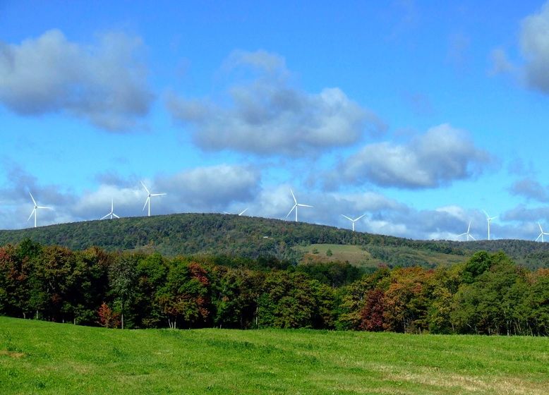 Gamesa grabs 18MW in France