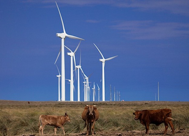 Iberdrola seeks EIB finance