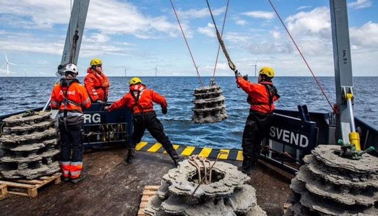 Orsted tests 3D-printed reefs at Anholt