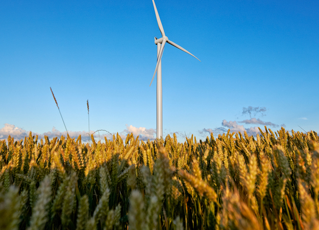 Eurus opens 51MW in Japan
