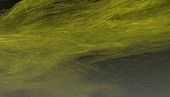 Vattenfall launches bird fatality study at HKZ
