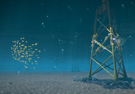 Orsted attempts to 'ReCoral' Taiwanese waters