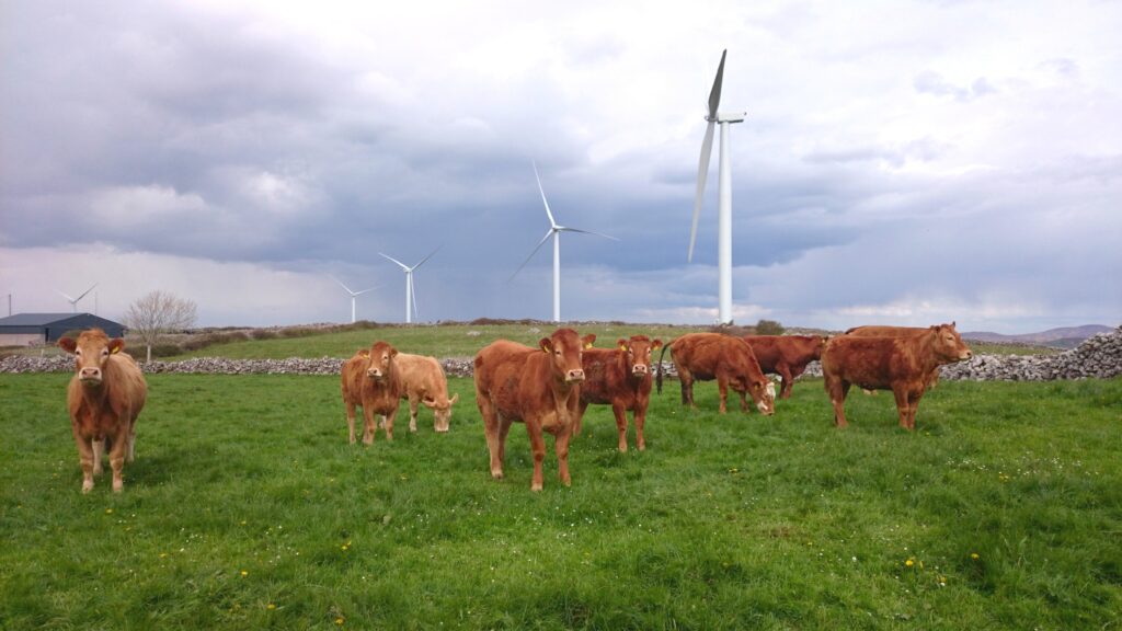 Ireland issues wind plea