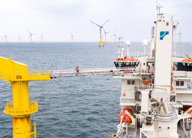 Acta Auriga starts Bard 1 duty