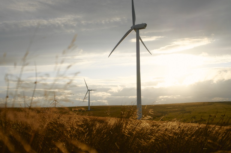 CWP Energy recognised as growth champion CWP Energy recognised as growth champion