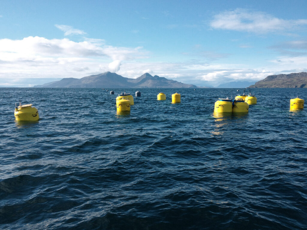 Albatern deploys Scottish wave