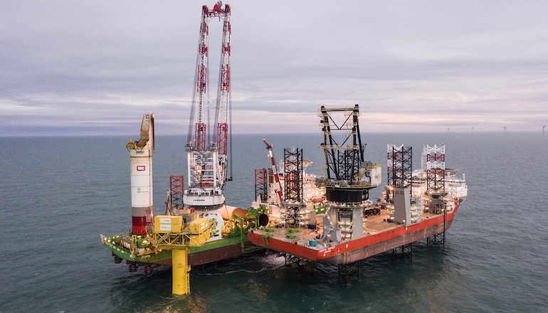Albatros topside finds North Sea nest