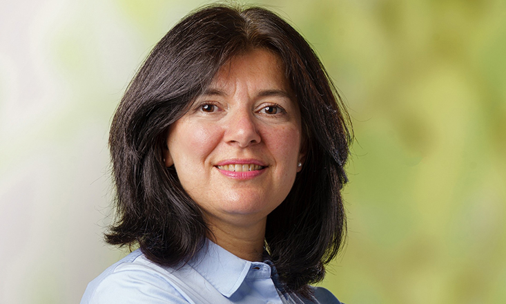 FairWind names new Northern Central Europe lead
