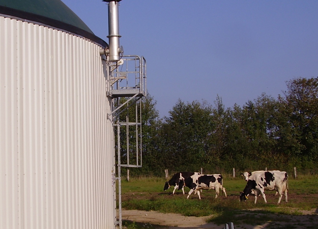 GIB/Foresight back bio in N Ireland