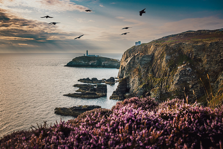Morlais environmental plan approved Morlais environmental plan approved