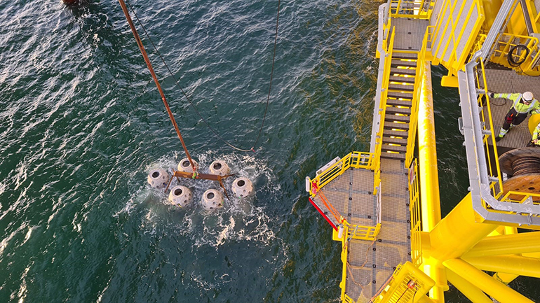 TenneT installs reefs at Hollandse Kust West TenneT installs reefs at Hollandse Kust West