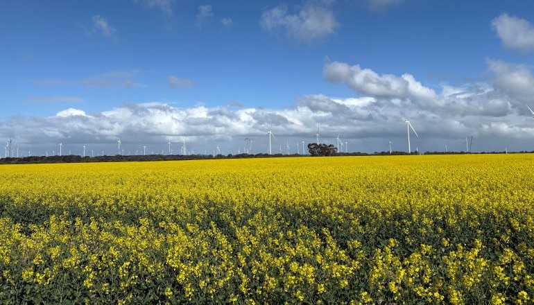 FairWind lands eight-figure Australia turbine deal FairWind lands eight-figure Australia turbine deal