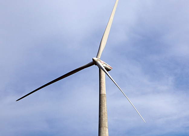 Acciona plans 145MW Texas build Acciona plans 145MW Texas build