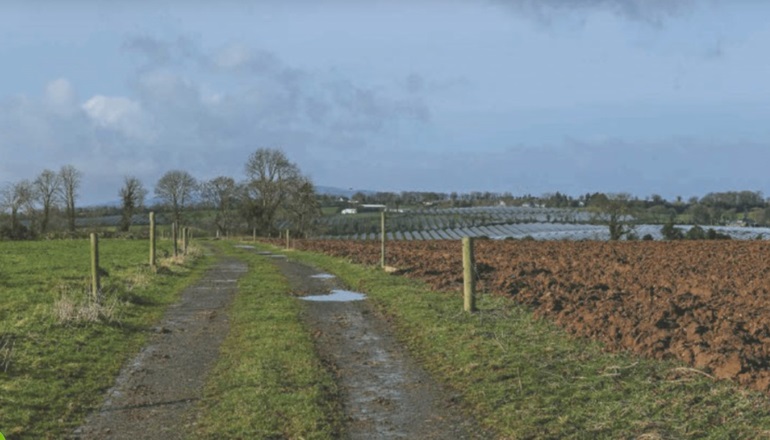 BayWa r.e. wins consent for 60MW Irish solar