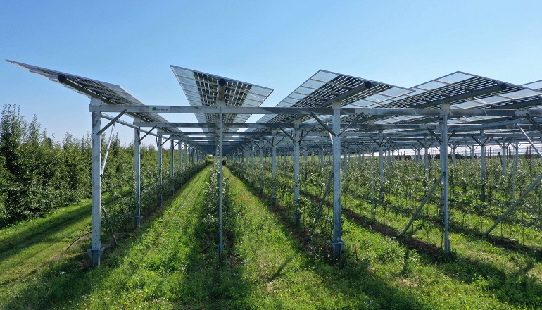 BayWa RE inks 90MW San Diego solar-storage offtake