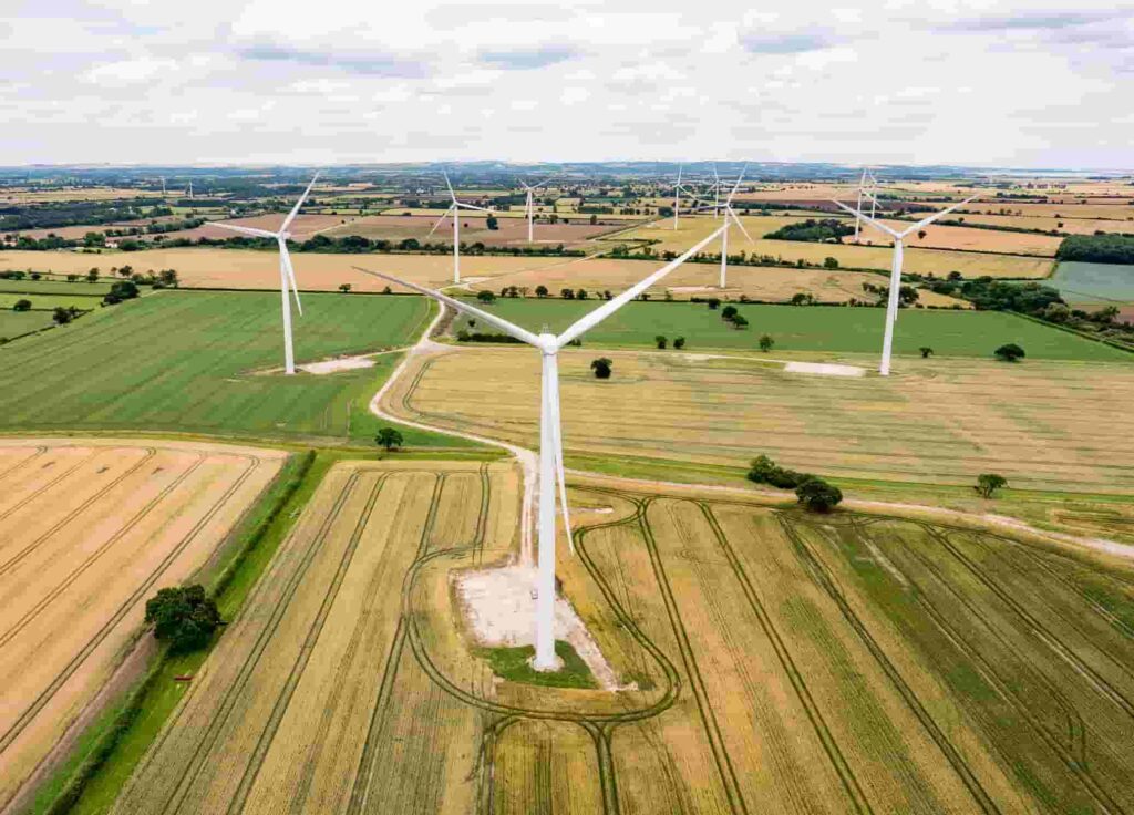 BayWa to manage 102MW of UK wind BayWa tends Octopus garden