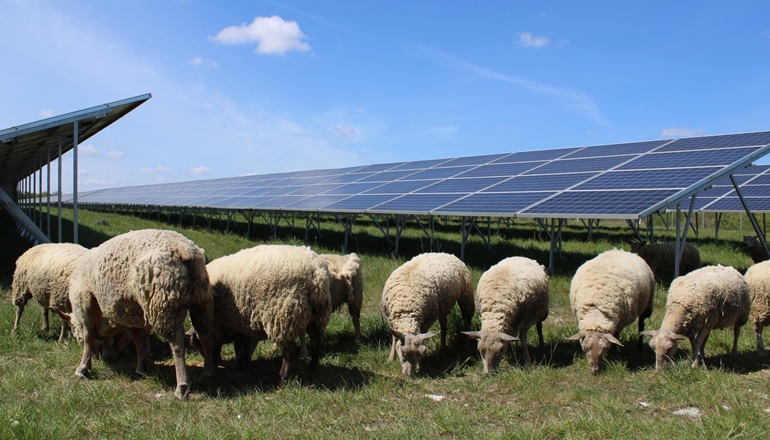 BayWa r.e. completes French solar drive BayWa r.e. completes French solar drive