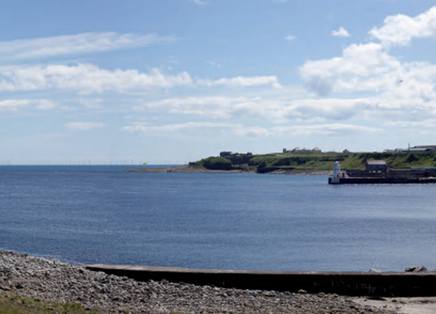SSE urged to back BiFab