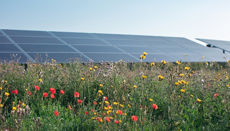 Better Energy designs solar park for wetlands