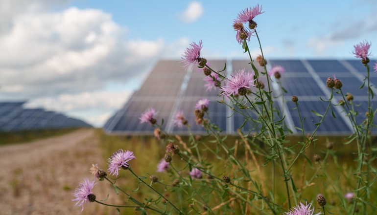 Statkraft, Better Energy ink Polish solar PPA Statkraft