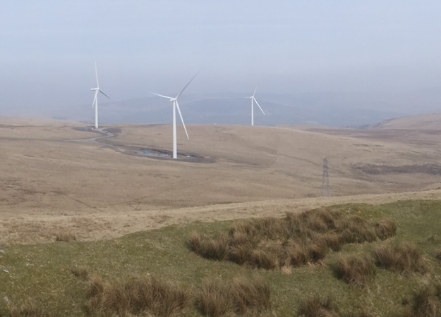 Wales appoints experts to RED Programme Wales appoints experts to RED Programme