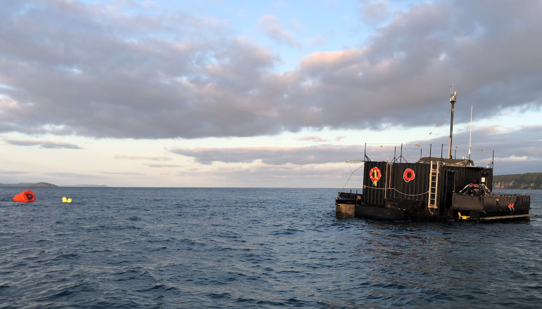 BigMoon clinches Canadian tidal slot
