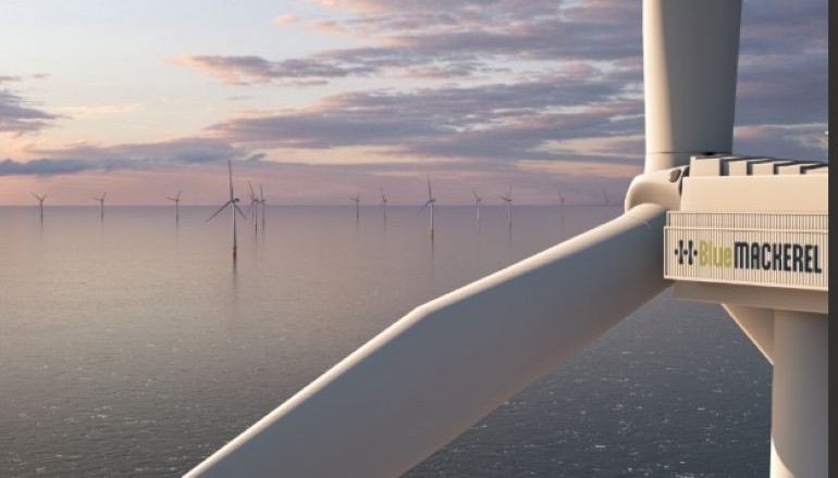 Blue Mackerel wins major project status Blue Mackerel wins major project status