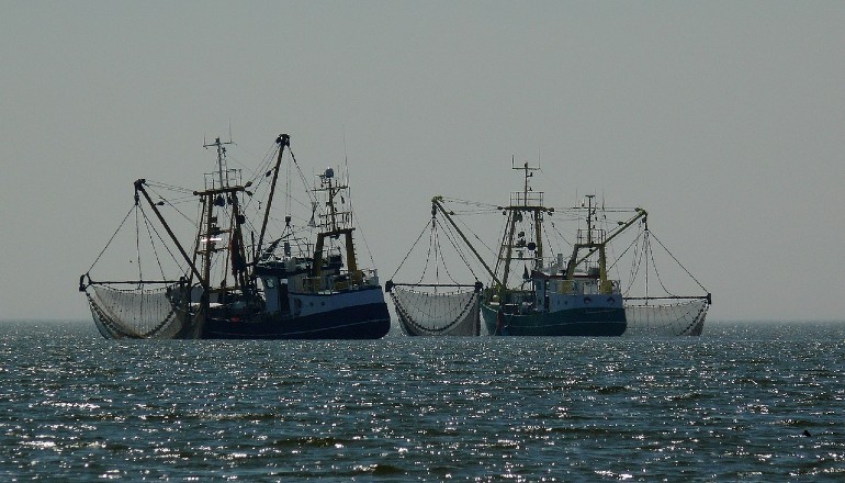 US states seek comment on fisheries compensation fund US states seek comment on fisheries compensation fund