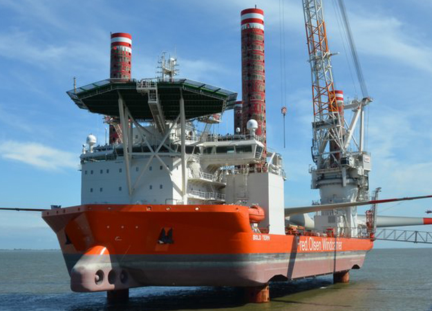 Bold Tern on duty at Veja Mate