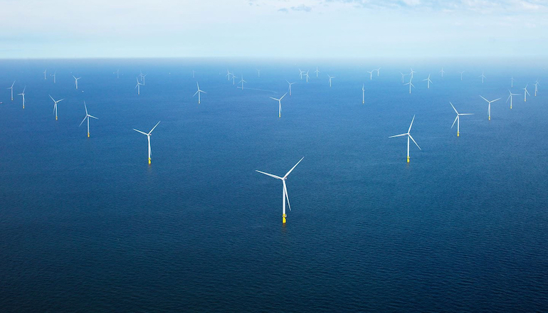 Borssele turbines stop for birds in Dutch pilot Orsted partners on Dutch green hydrogen scheme