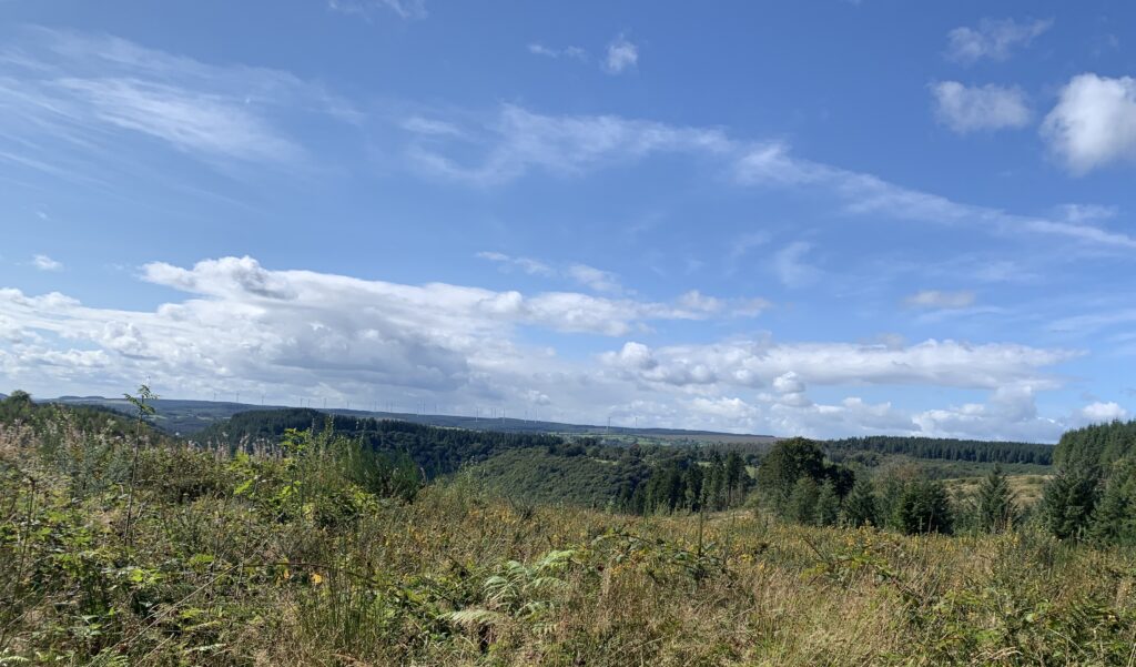 Consultation launched for 162MW Welsh wind farm Consultation launched for 162MW Welsh wind farm