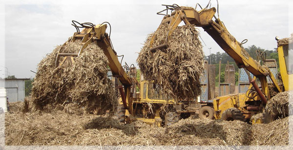 Cash boost for Philippines bio