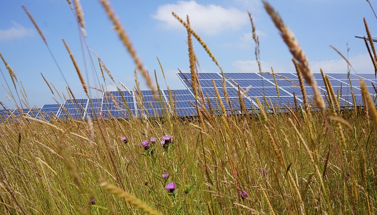 BSR Energy challenges Welsh solar planning decision