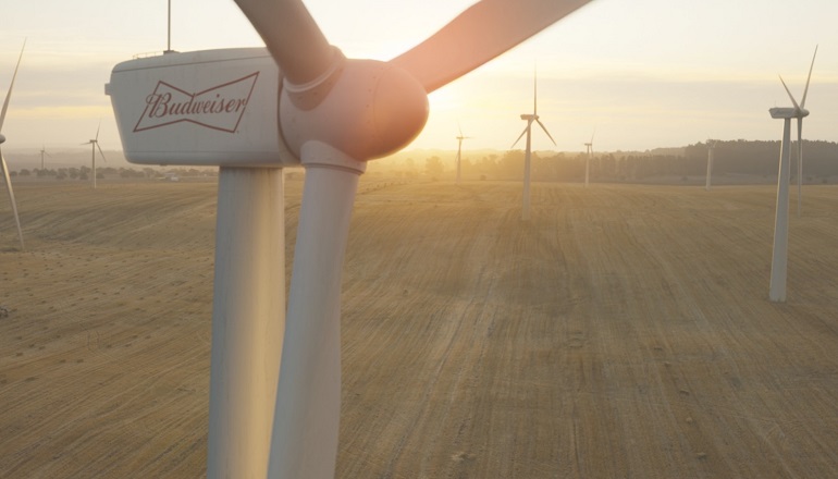 Budweiser UK goes 100% wind and solar