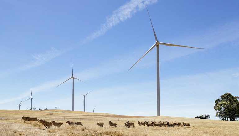 Neoen toasts 224MW Oz wind-plus-storage hub success Neoen toasts 224MW Oz wind-plus-storage hub success