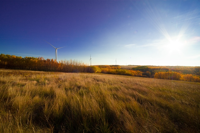 BluEarth steals show in Alberta