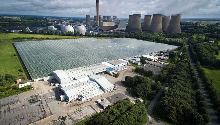 UK tie-up seeds green hydrogen demand in horticulture