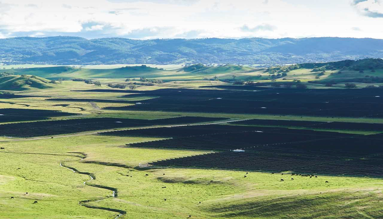 Capital Dynamics signs 4.8GW deal to increase US footprint US partners saddle up 300MW solar ‘ranch'