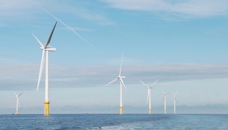Carbon Trust seeks floating wind nous