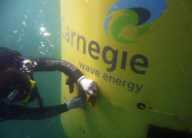 Carnegie cleans up the briny