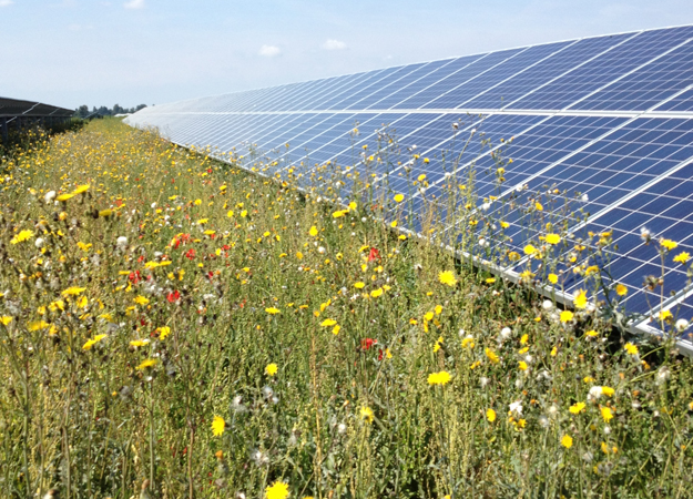 Lightsource BP completes 260MW Texas solar