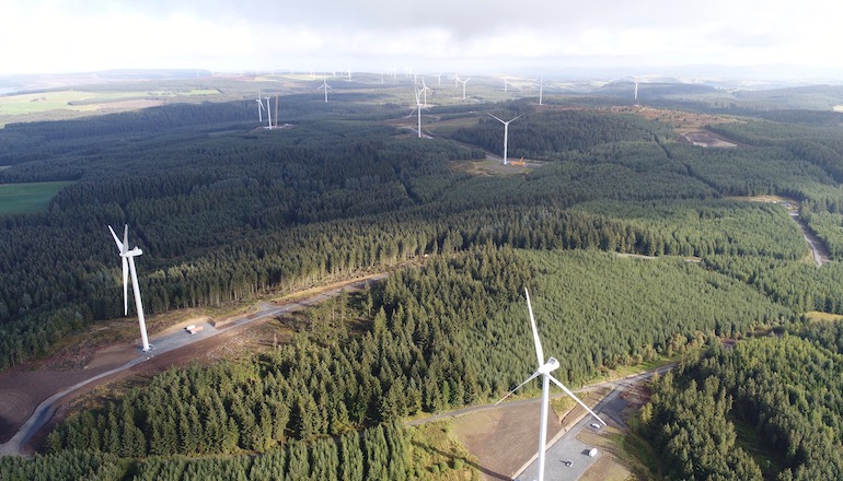 Turbines stand tall at Clocaenog Forest