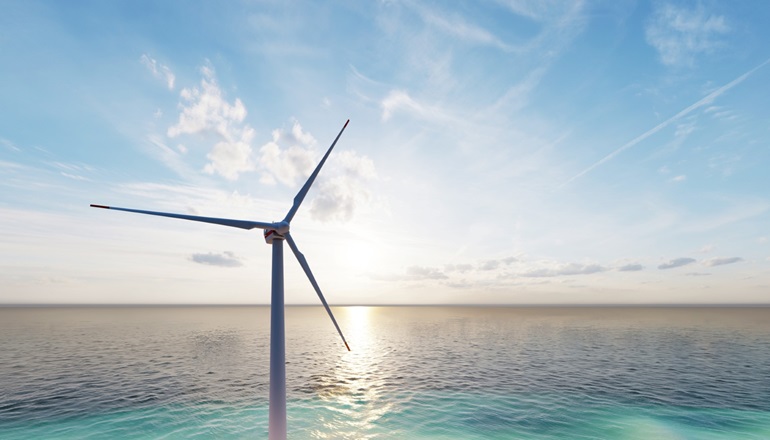 COWI joins nature-focused offshore project COWI wins pre-FEED work on Scottish offshore duo