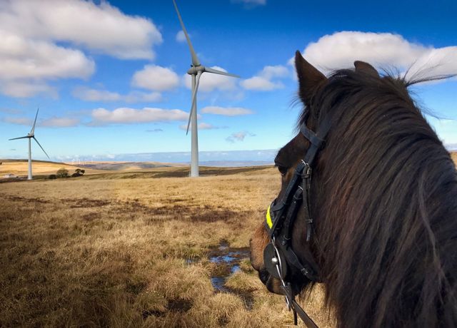 Investors pony up for Welsh wind